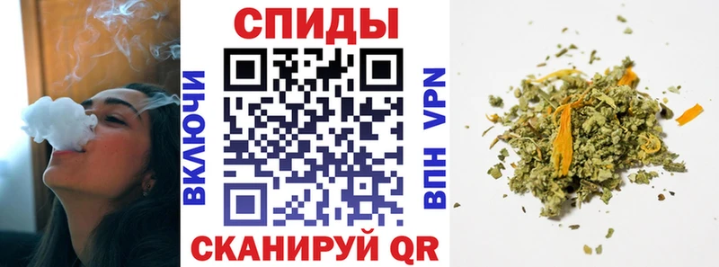 Купить где  Кашира  Бутират буратино 