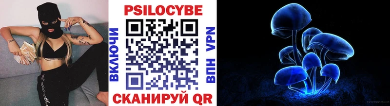 Купить  Кашира  Галлюциногенные грибы Psilocybine cubensis 