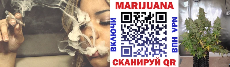 Марихуана гибрид Кашира